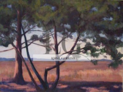 Salisbury State Park