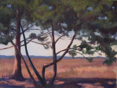 Salisbury State Park